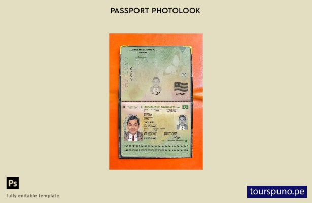 Plantilla de apariencia de fotografía de pasaporte de Togo lista para imprimir